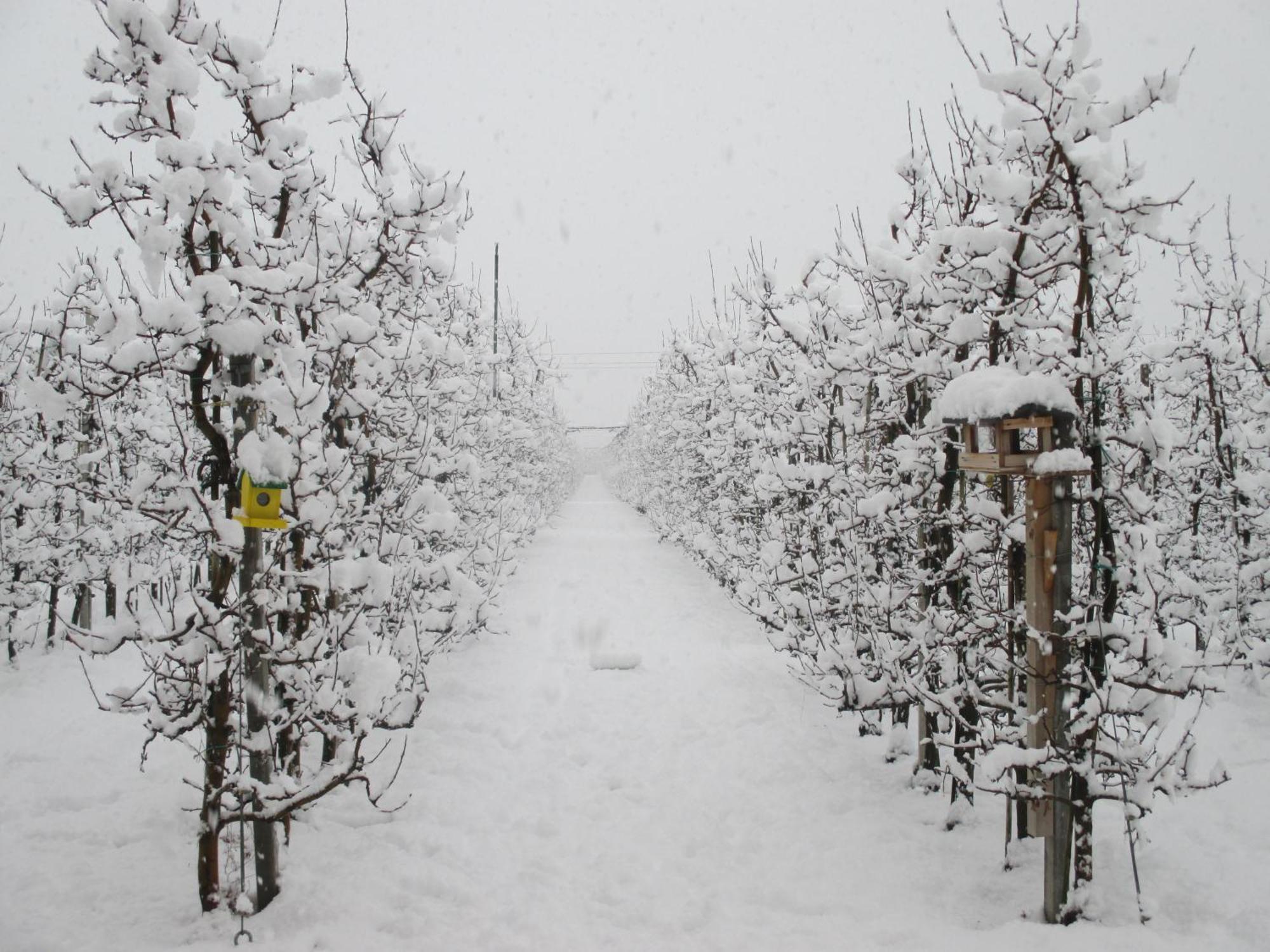 Garnhof Διαμέρισμα Coldrano Εξωτερικό φωτογραφία