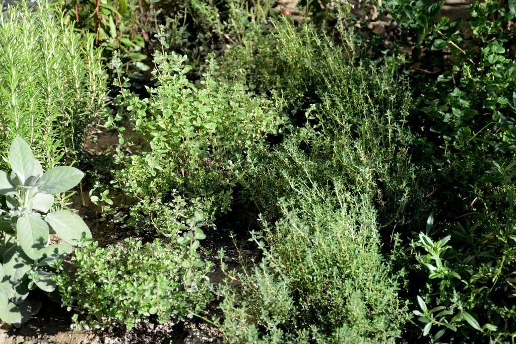 Garnhof Διαμέρισμα Coldrano Εξωτερικό φωτογραφία